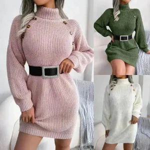 Elegant Autumn Winter Mini Turtleneck Sweater Dress