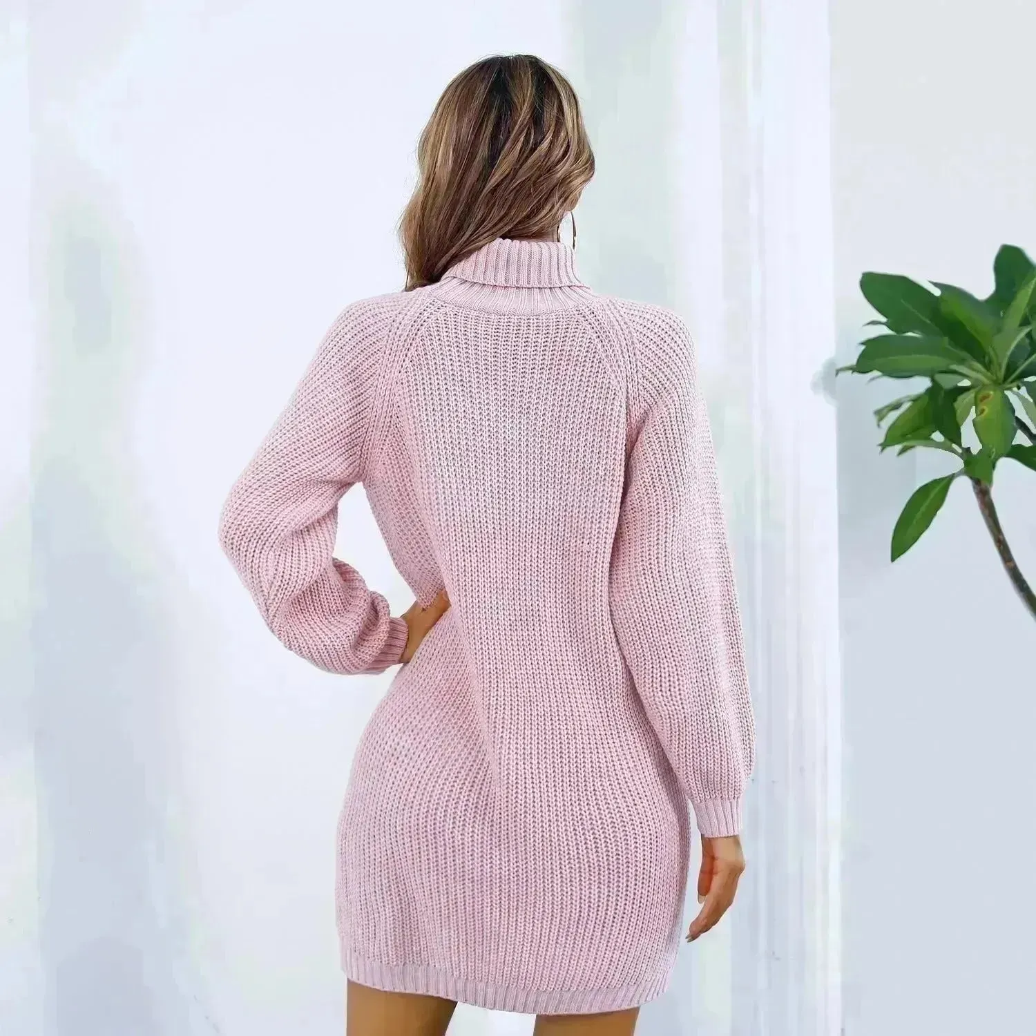 Elegant Autumn Winter Mini Turtleneck Sweater Dress